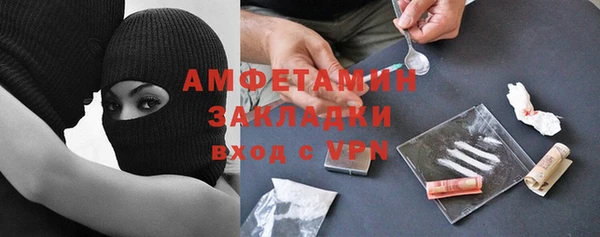 PSILOCYBIN Вяземский