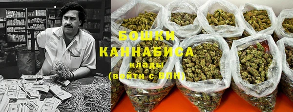 PSILOCYBIN Вяземский