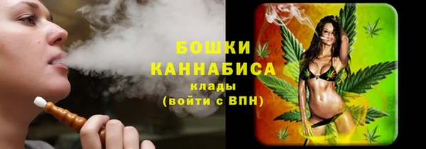 PSILOCYBIN Вяземский
