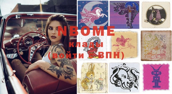 PSILOCYBIN Вяземский