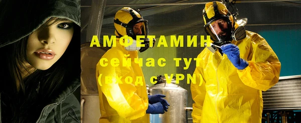 PSILOCYBIN Вяземский