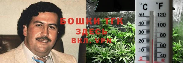 PSILOCYBIN Вяземский