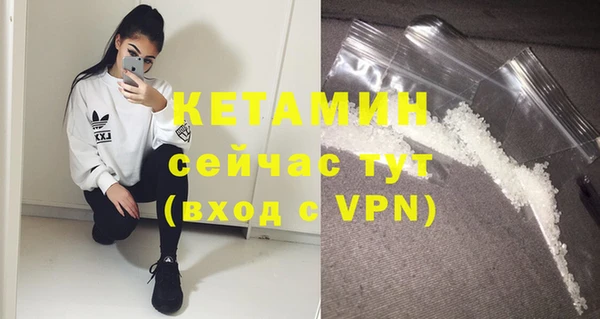 PSILOCYBIN Вяземский