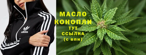 PSILOCYBIN Вяземский