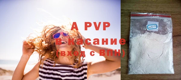 PSILOCYBIN Вяземский