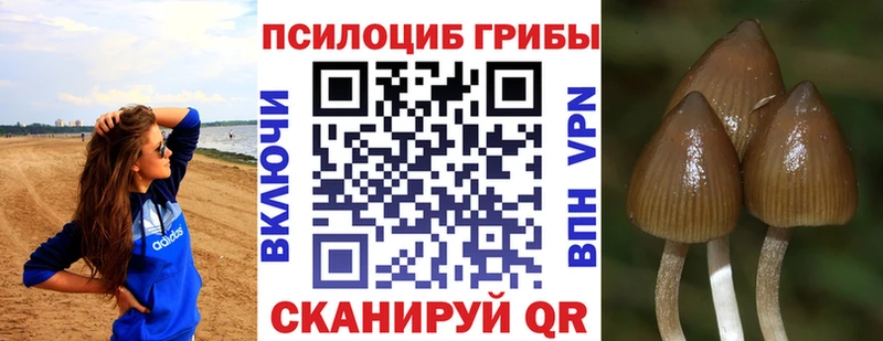 Псилоцибиновые грибы Psilocybine cubensis  Купить где  Лахденпохья 