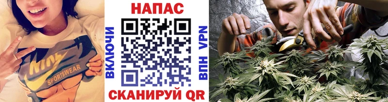 МАРИХУАНА сатива  Купить  Лахденпохья 